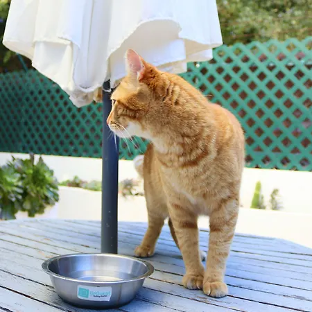 Beguest Gandarinha Apartmán *